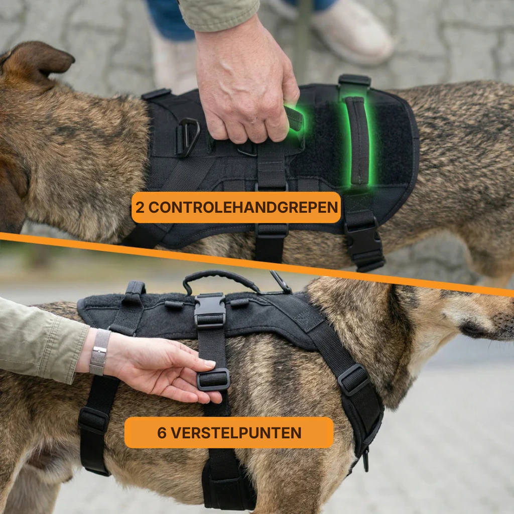 Anti-Trek Harness