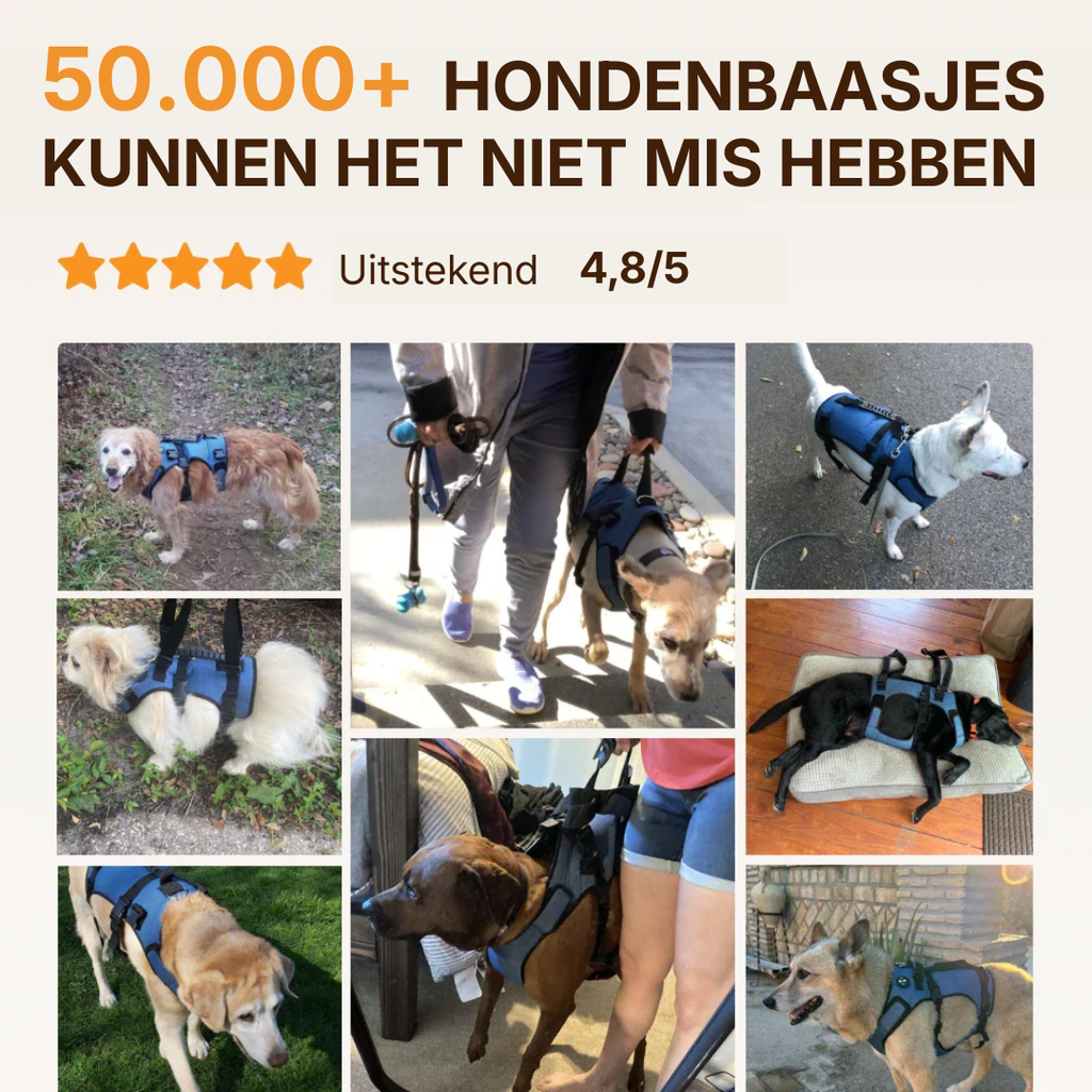 Mobility Harness