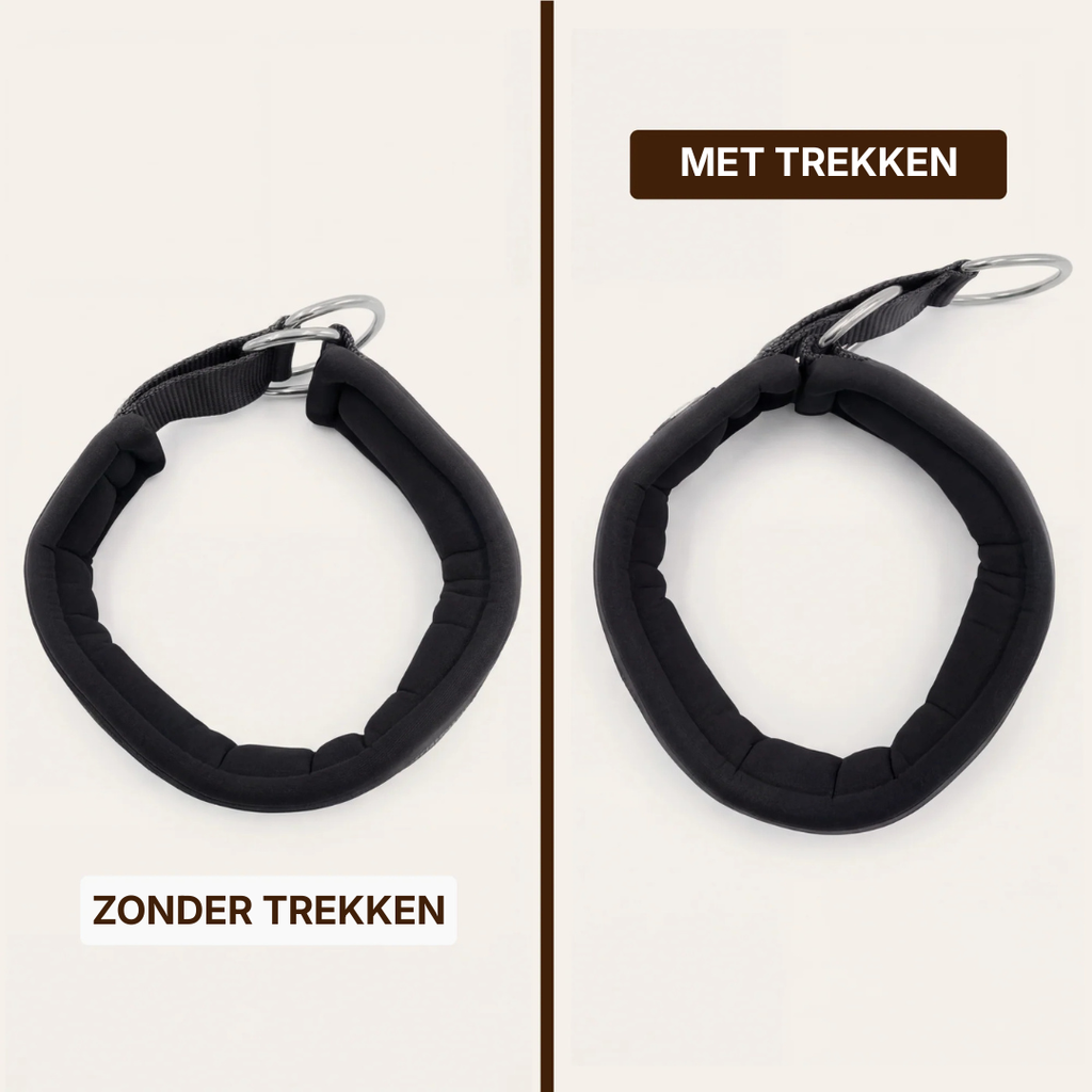 Collar with pull stop