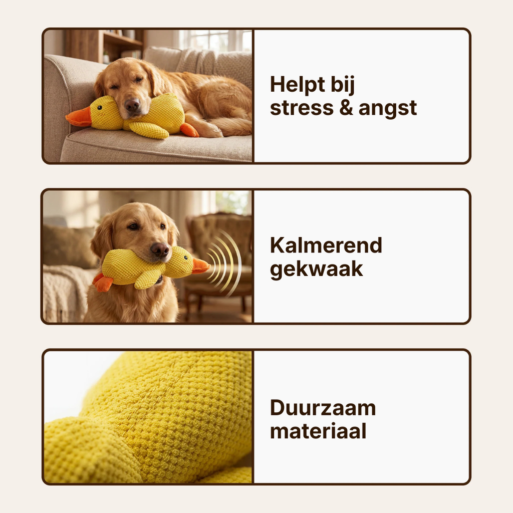 Anti-Stress Duck