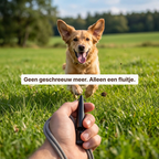Dog Whistle