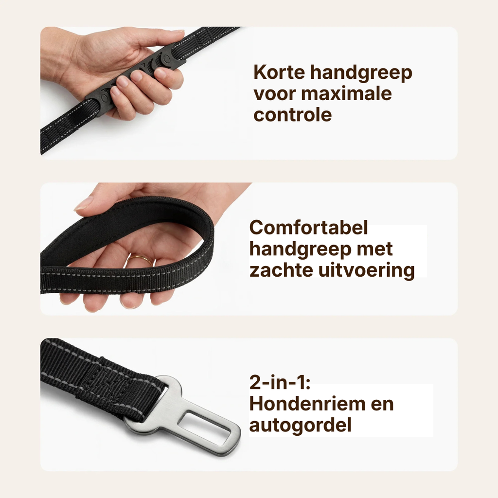 Bungee Dog Leash