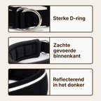 Collar with pull stop