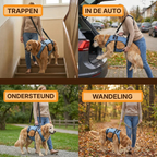 Mobility Harness
