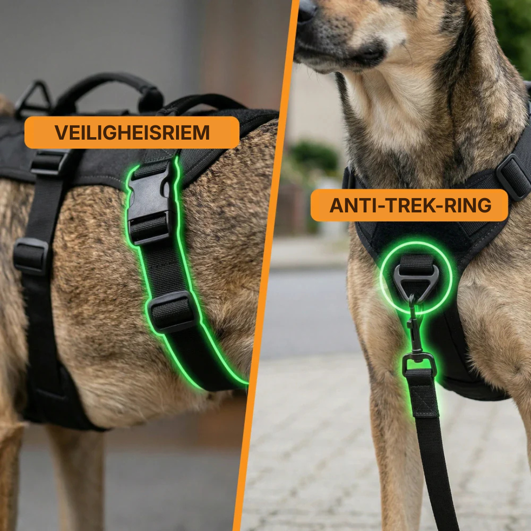 Anti-Trek Harness