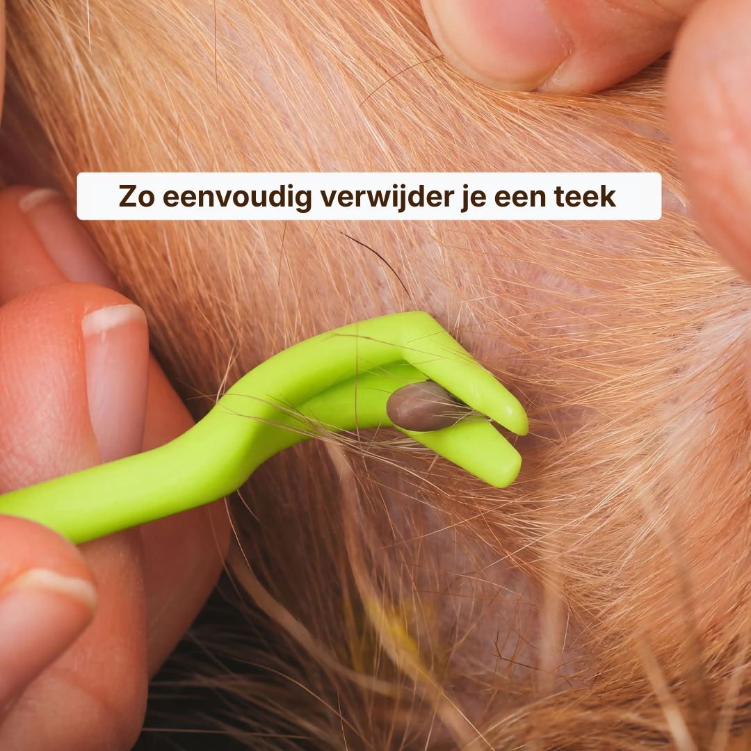 Tick Removal Hook 3-Piece Set