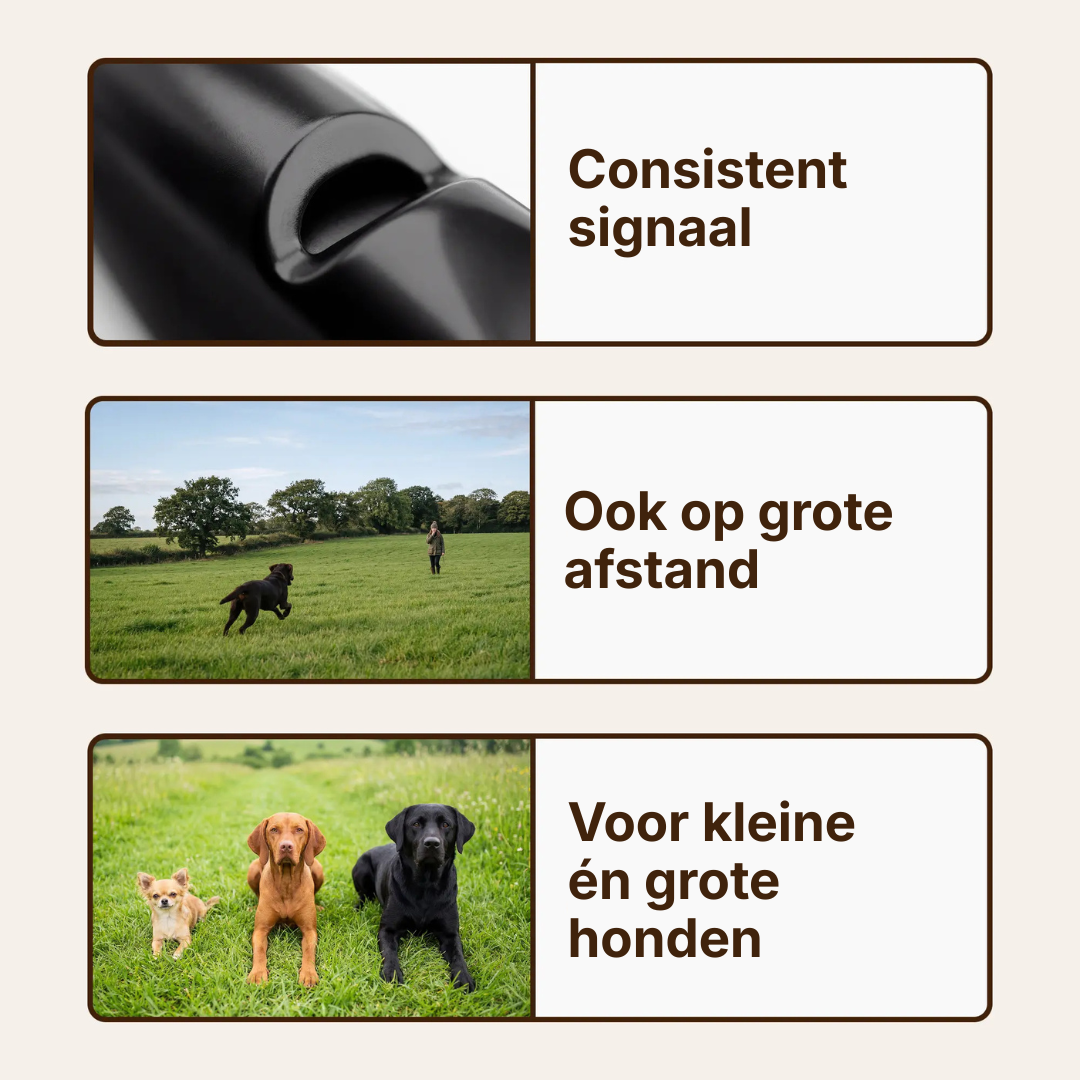 Dog Whistle