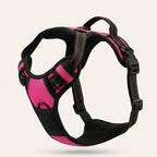 Anti-Trek-Harness