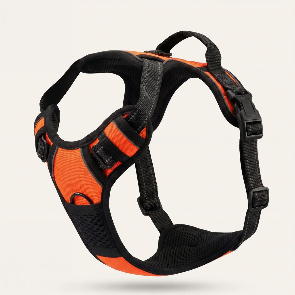 Anti-Trek-Harness