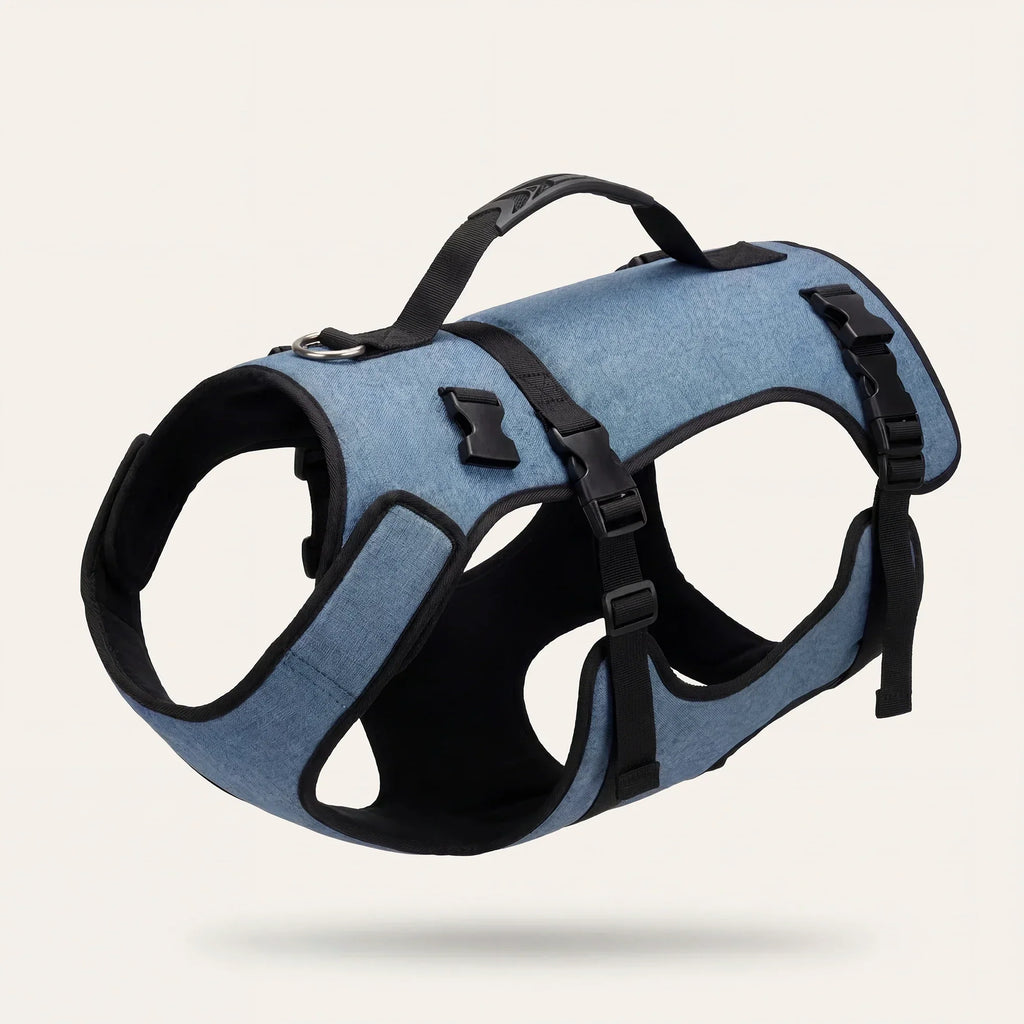Mobility Harness