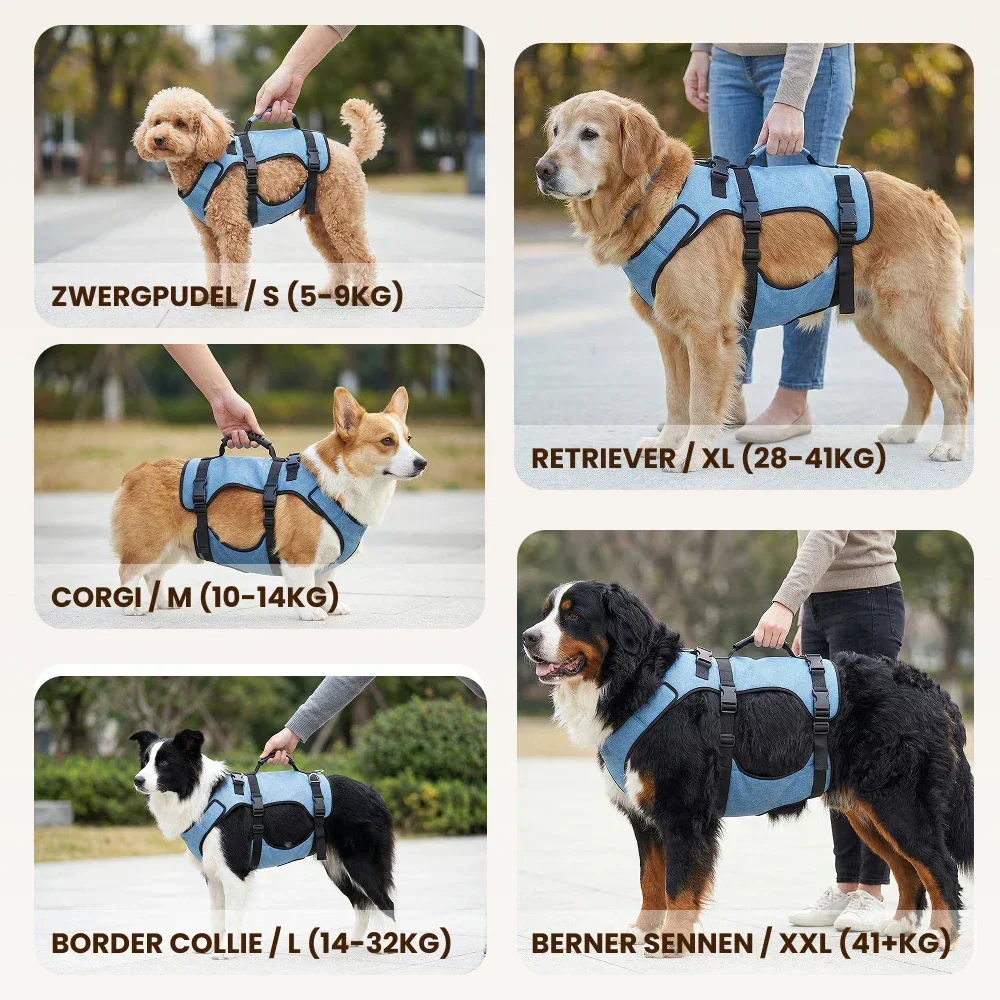 Mobility Harness