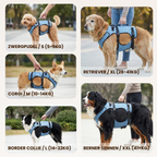 Mobility Harness