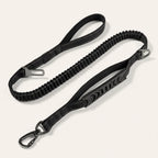 Bungee Dog Leash