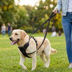 Anti-Trek Dog Leash