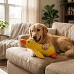 Anti-Stress Duck
