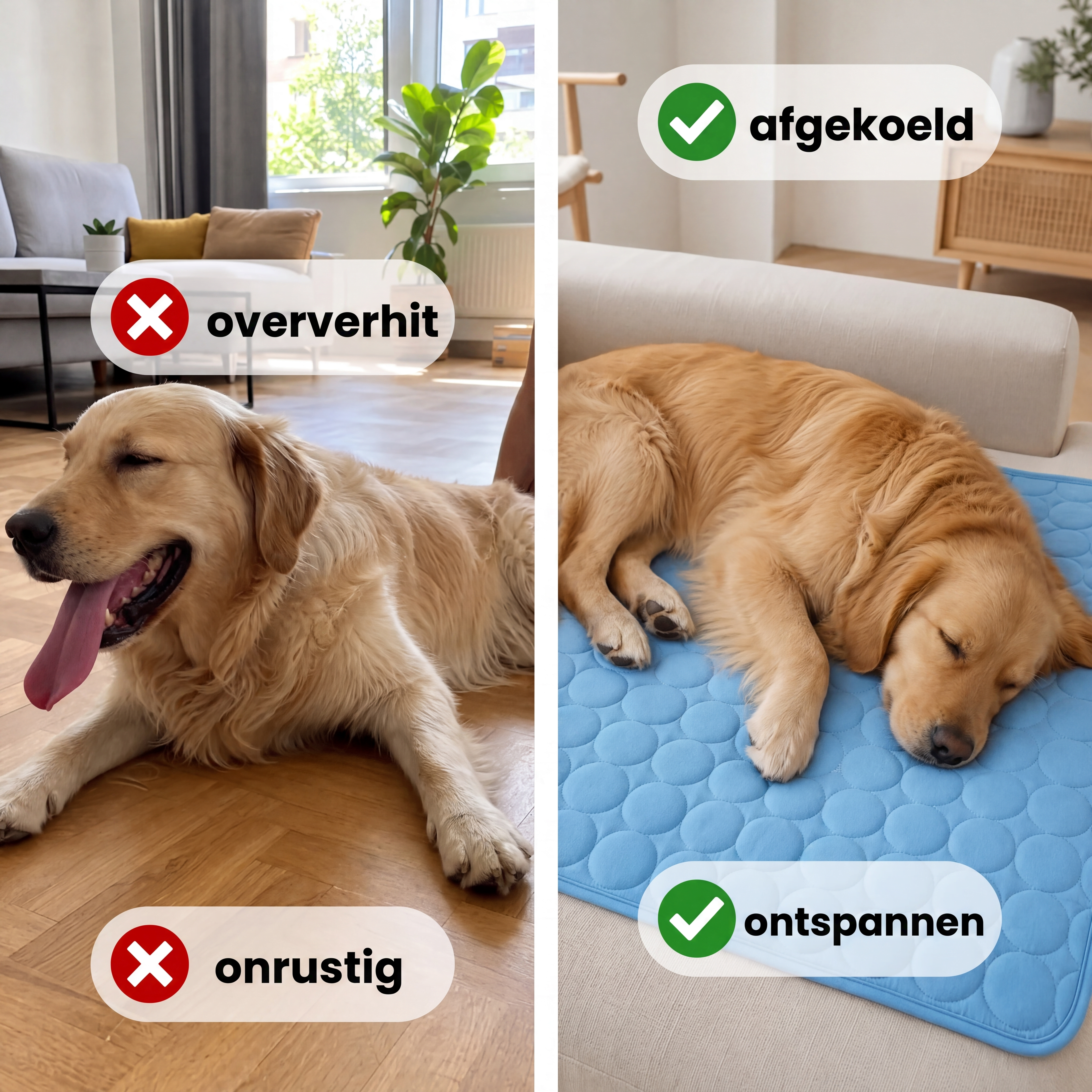Woofstark Cooling Mat (1+1 FREE)
