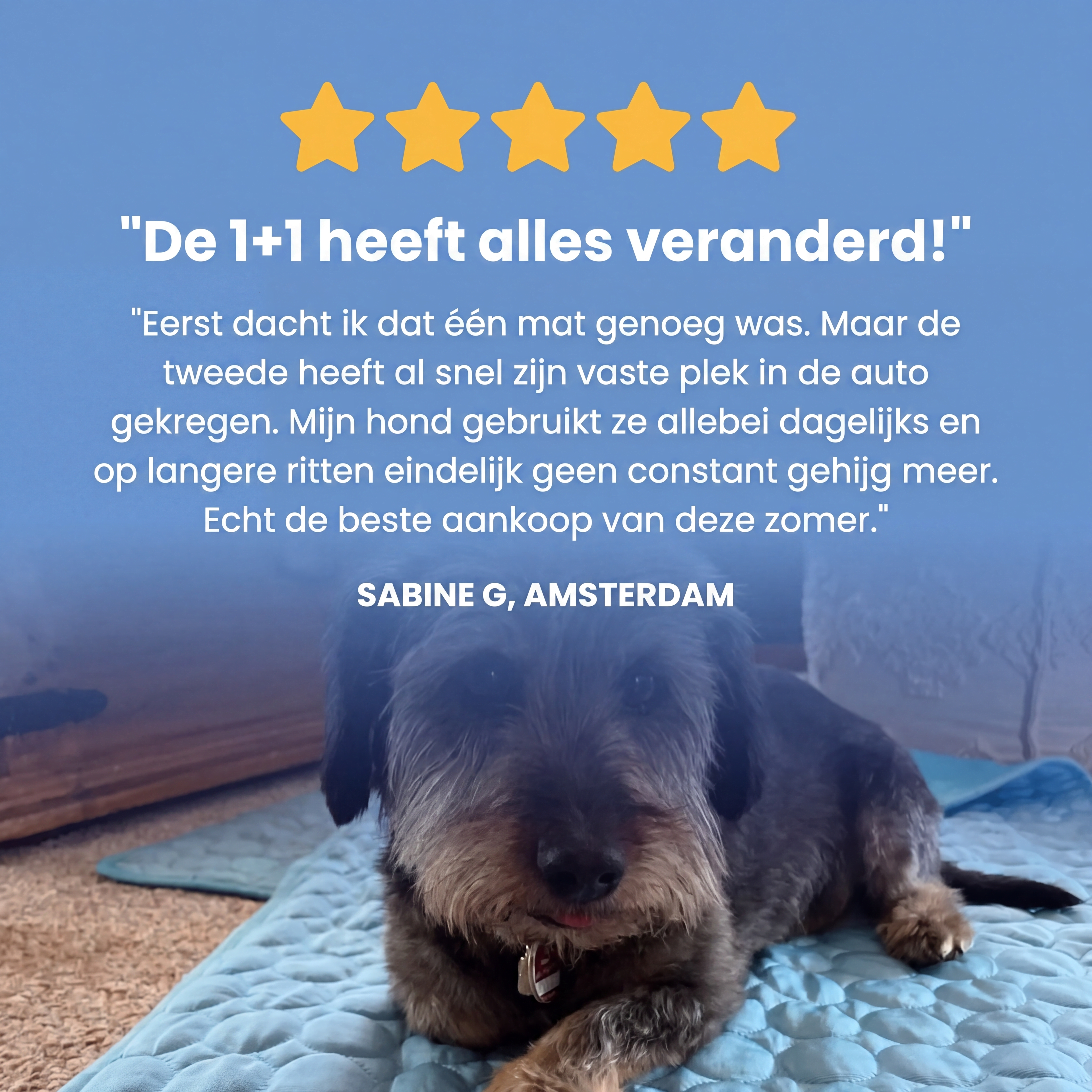 Woofstark Cooling Mat (1+1 FREE)