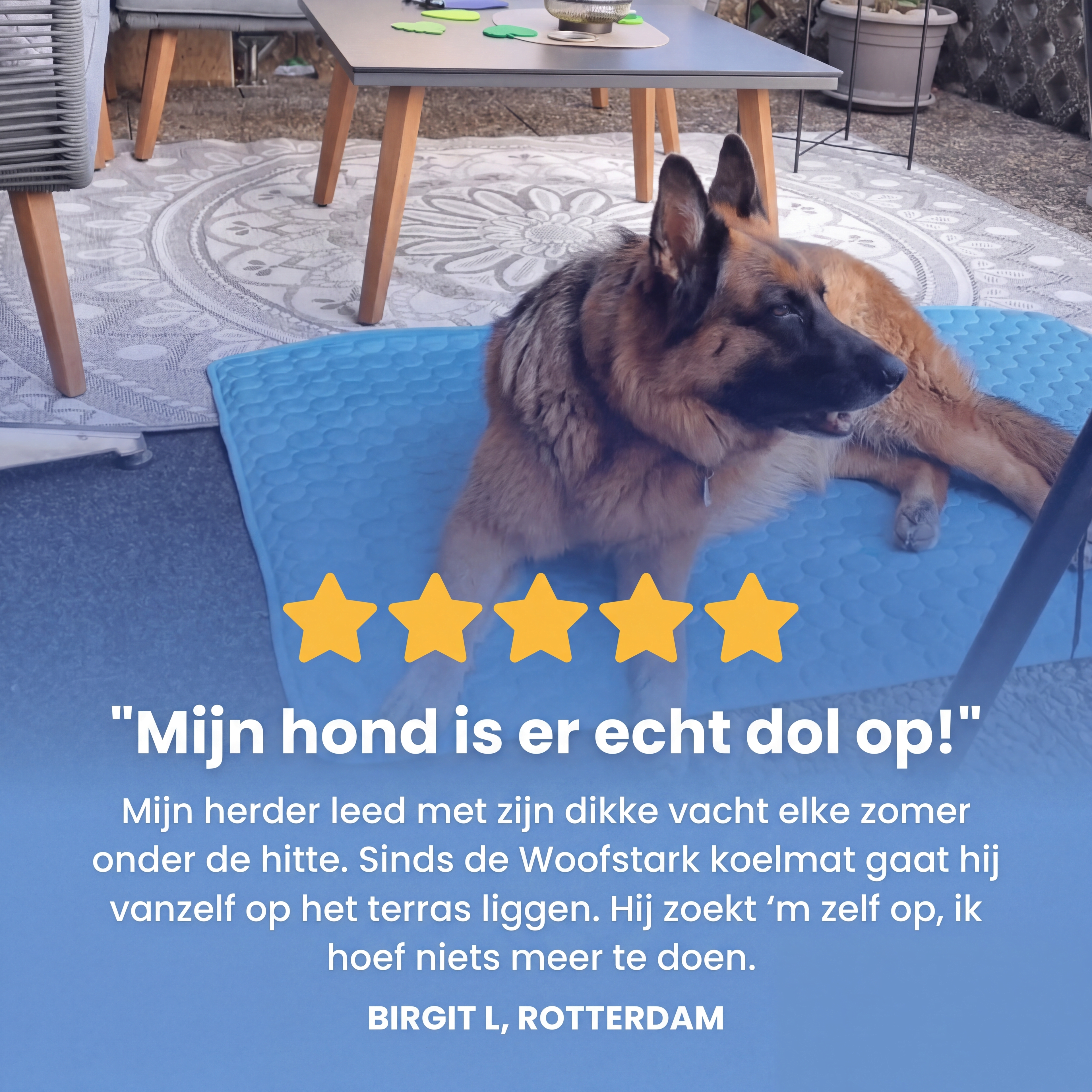 Woofstark Cooling Mat (1+1 FREE)