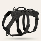 Anti-Trek Harness