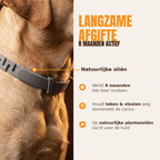 Anti-Flea and Tick Collar | 8 Months Protection (Buy 1 Get 1 FREE)