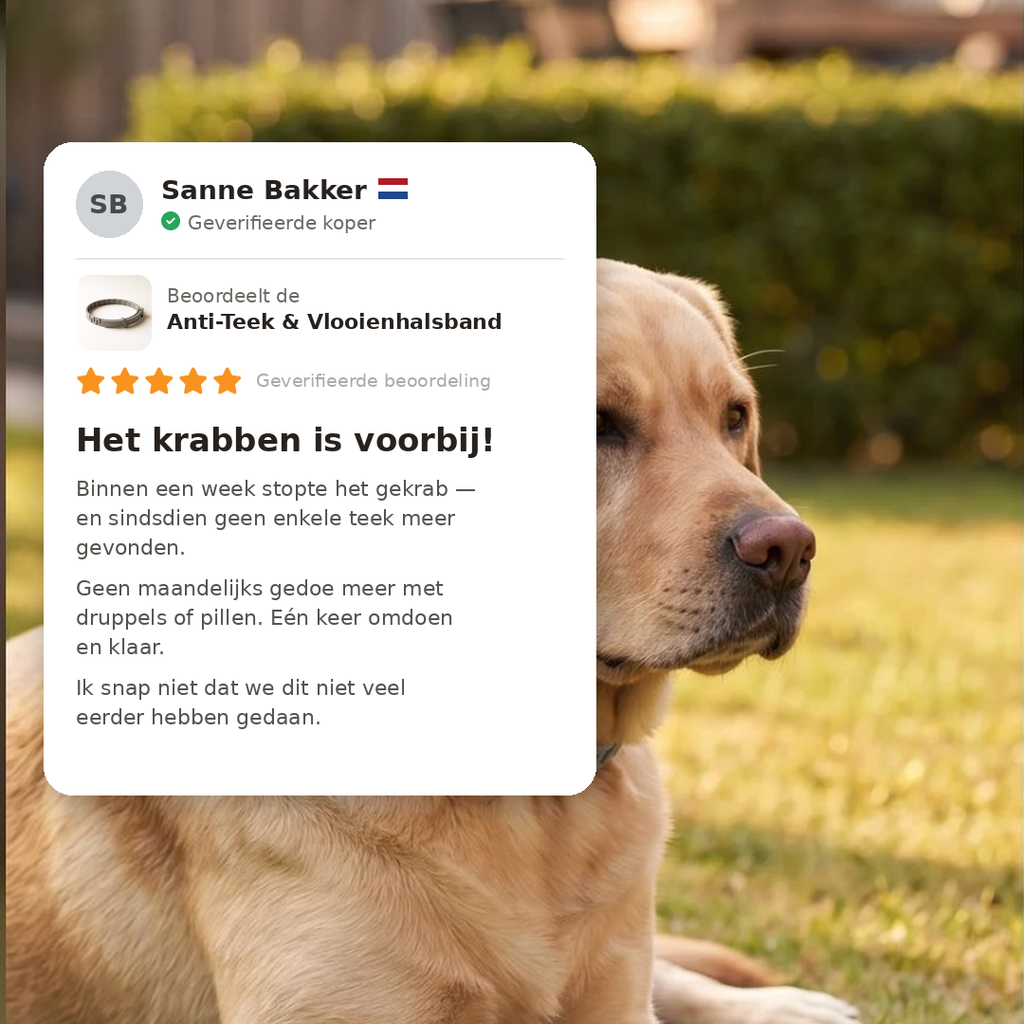 Anti-Flea and Tick Collar | 8 Months Protection (Buy 1 Get 1 FREE)