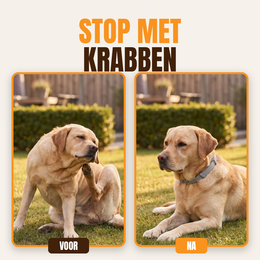 Anti-Flea and Tick Collar | 8 Months Protection (Buy 1 Get 1 FREE)
